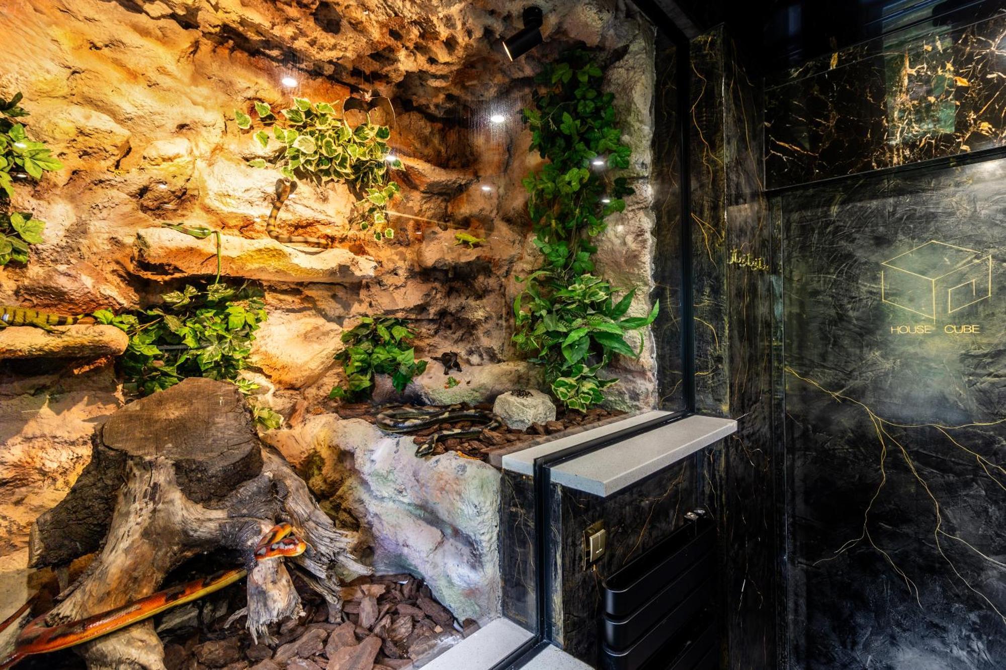 הוילה ורוצלב Housecube, Bar , Prywatne Kino, Bilard , Luxus מראה חיצוני תמונה